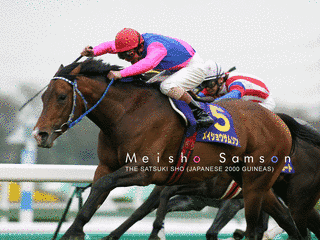 2003年生 (競走馬)の画像