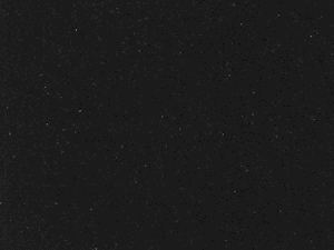 フランス供用種牡馬の画像