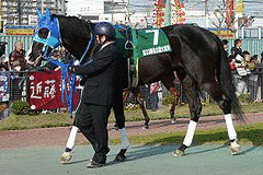 アドマイヤスバルの画像