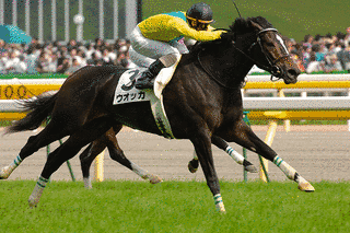 父内国産の競走馬の画像