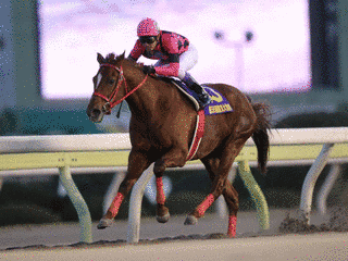 2005年生 (競走馬)の画像