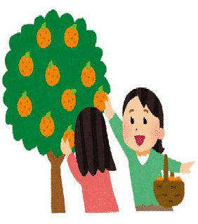 ネヴァーオンサンデーの画像