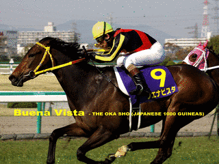 2006年生 (競走馬)の画像