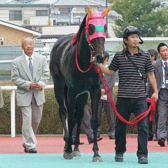 テイエムオーロラの画像