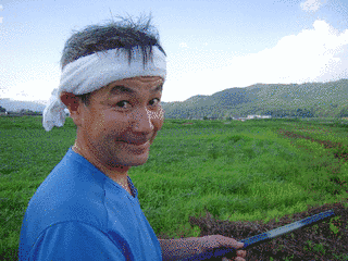 シェーンヴァルトの画像