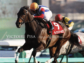 2007年生 (競走馬)の画像
