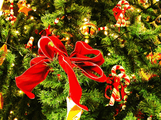 クリスマスの画像