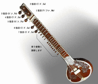 シタールの画像