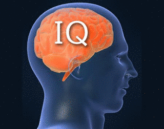 I.Qの画像