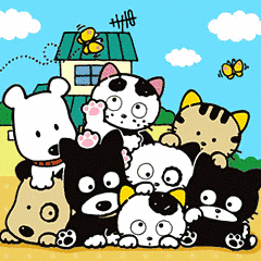 タマ&フレンズ うちのタマ知りませんか?の画像