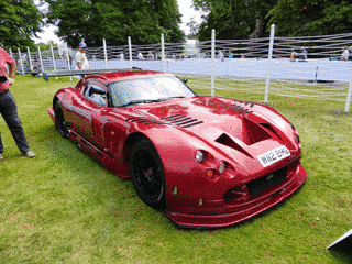TVR・サーブラウスピード12の画像