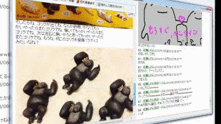 IS INTERNAL SECTIONの画像