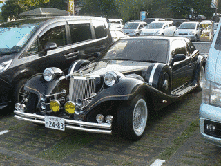 光岡・ラセードの画像