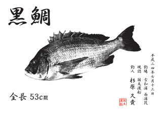 ウェブ魚拓の画像