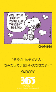 ブープルの画像