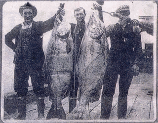 THE OREGON ENCYCLOPEDIAの画像