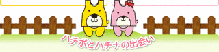 ハチポの画像