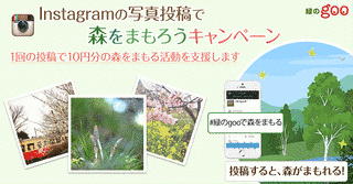 緑のGOOの画像