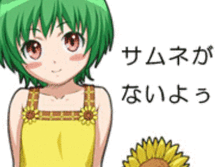 ひまわり動画の画像