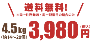 林檎の杜の画像