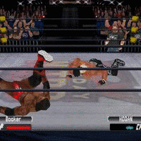 WWF NO MERCYの画像