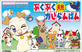 ぷくぷく天然かいらんばんの画像