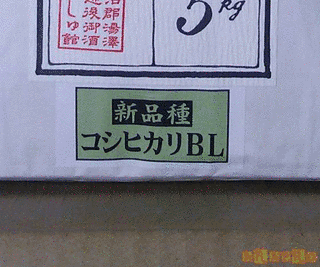 コシヒカリBLの画像