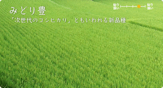 みどり豊の画像
