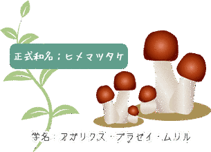 岩出亥之助の画像