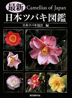 桐野秋豊の画像