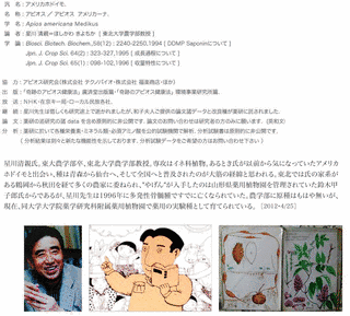 星川清親の画像