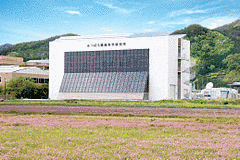 みつばち健康科学研究所の画像