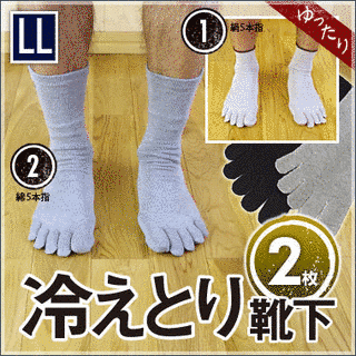 LL法の画像