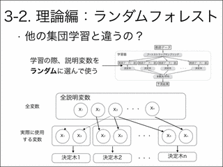 ランダムフォレストの画像