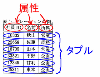 タプルの画像