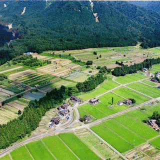 阿部正雄の画像