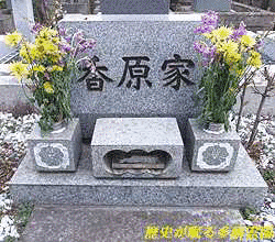 香原一勢の画像