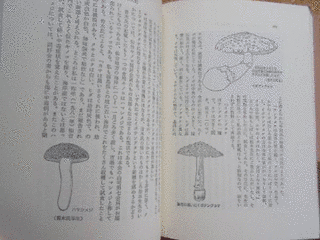 本多修郎の画像