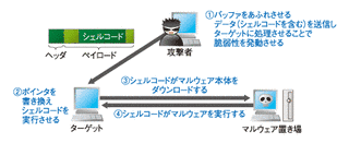 シェルコードの画像