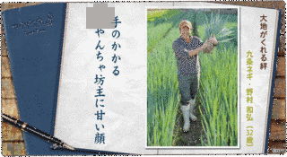 野村和弘の画像