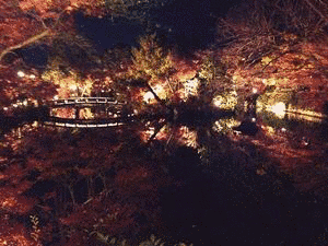 山岸泉琳の画像