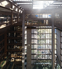 ケヴィン・ローチの画像