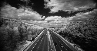 MONOCHROMEの画像