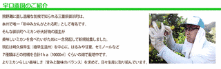 内藤徹男の画像