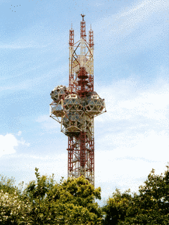 エキスポタワーの画像