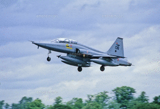 F-5の画像