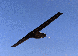 RQ-3 ダークスターの画像