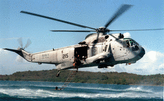 SH-3 シーキングの画像