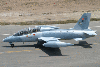 アエルマッキ MB-339の画像
