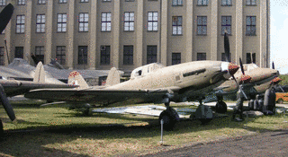 IL-10の画像